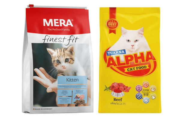 Foods That Support Optimal Cat Health