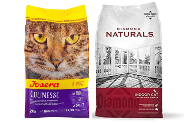 Foods That Support Optimal Cat Health